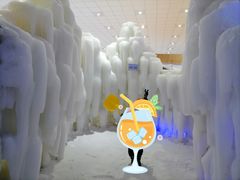 -宁波冰雪大世界(北仑区)