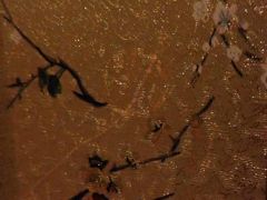 -富侨养生(康乾店)