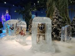 -广州热雪奇迹