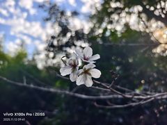 -镇江市南山风景名胜区竹林景区