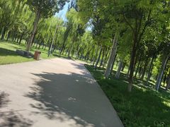 -秀水公园