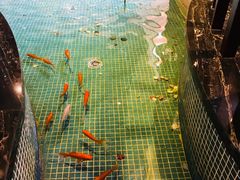 -水晶之星洗浴温泉汗蒸