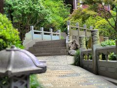 -十八棵（老龙井）御茶园(老龙井店)