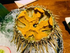 活海胆-千代武日本料理(开发区店)
