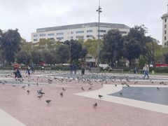 -加泰罗尼亚广场