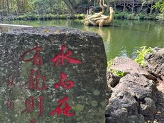 -海口火山口国家地质公园