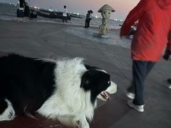 -万尾金滩