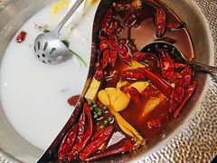 -麻田会 ·鲜活现烹·牛蛙火锅(珠江新城维家思广场店)
