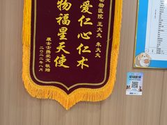 -米苏动物医院·犬猫专科·骨科外科内窥镜