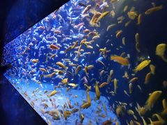 -成都浩海立方海洋公园