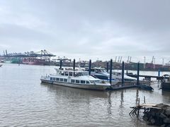 -旺富东海大酒楼(海鲜街店)