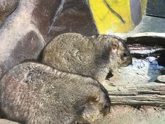 -华夏文旅西安度假区