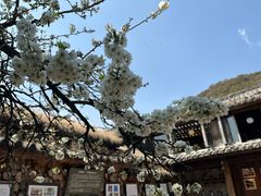 -田德能咖啡博物馆