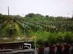 -曾家小栈