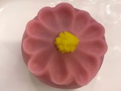 -江渔兒酸菜魚專門店(顺盈时代广场店)