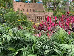 -南宫五洲植物乐园