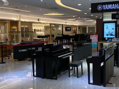 -知音艺术教育培训·钢琴培训·音乐培训(河西金鹰世界校区)