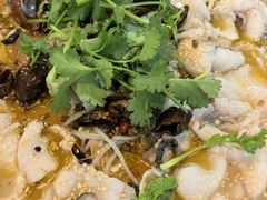 水煮鱼每斤-何哥鲜鱼餐厅(龙湖花园店)