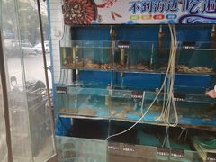 -东极岛海鲜