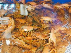 -深海壹品海鲜自助餐厅(吾悦广场店)