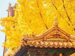 -颐和园