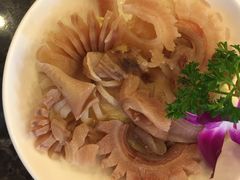 菊花牛鞭-老码头火锅(骡马市店)