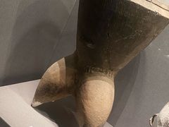 -包头博物馆