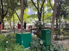 -成都市活水公园