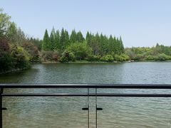-东平国家森林公园