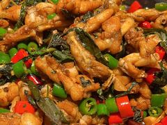 -蛙小侠(亚欧商厦店)