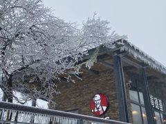 -紫金山山顶公园