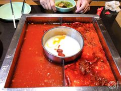 番茄鸳鸯锅-蜀江龙火锅(339店)
