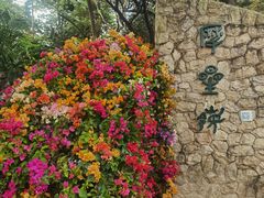 -广州市白云山风景名胜区