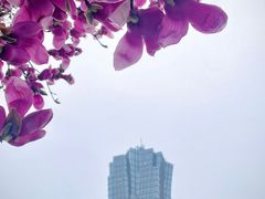 -西湖文化广场