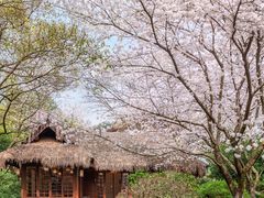 -中国茶叶博物馆(双峰馆区)