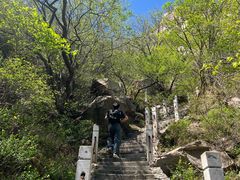 -北京凤凰岭