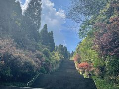 -娄山关景区