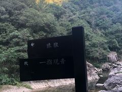 -龙湾潭国家森林公园