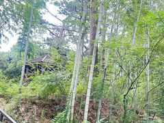 -宝岩生态观光园