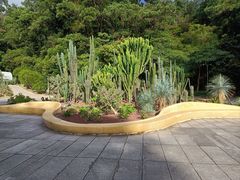 -深圳仙湖植物园