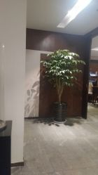 点击看大图 -禾颜社·精致美容