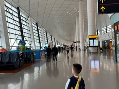 -郑州新郑国际机场-T2航站楼