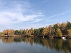 -塞罕坝国家级自然保护区