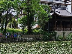 -花溪公园