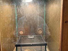 -上海大自然野生昆虫馆(东方明珠·爬宠昆虫探索中心)
