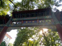 -北京国子监胡同