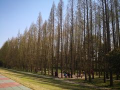 -南京金牛湖风景区