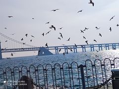 -星海广场