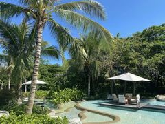 -瑰丽酒店·海吧·天际下午茶·现场DJ·天台酒吧