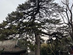 -潭柘寺景区